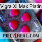Vigra Xl Max Platinum 13